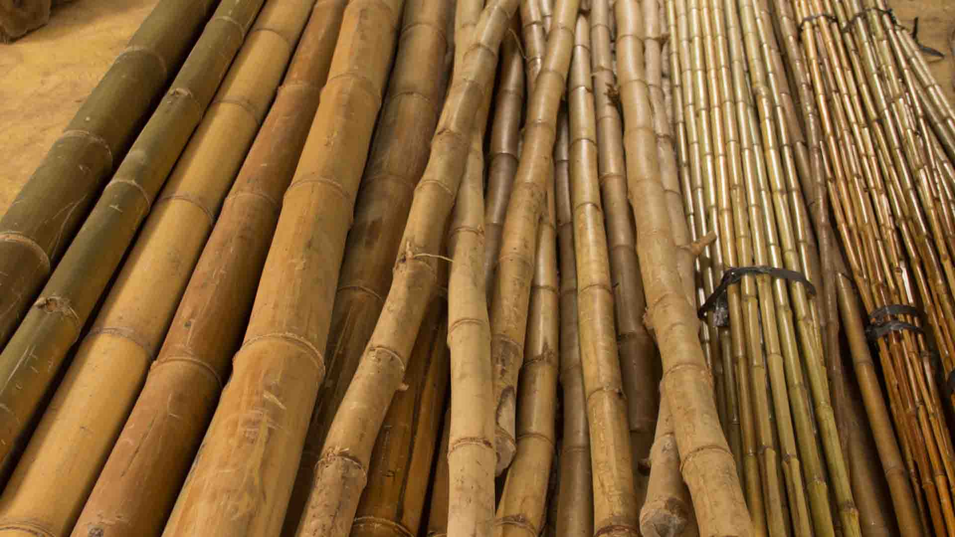 Natural Bamboo